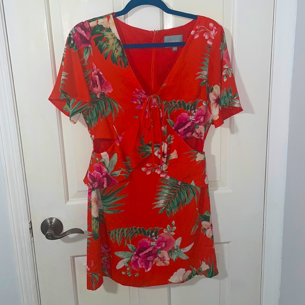 Skies are Blue floral dress